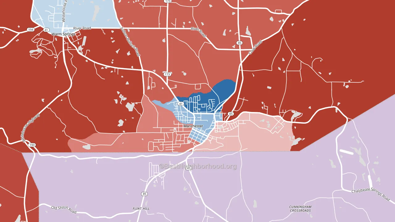 Manchester, GA block-group political-lean map