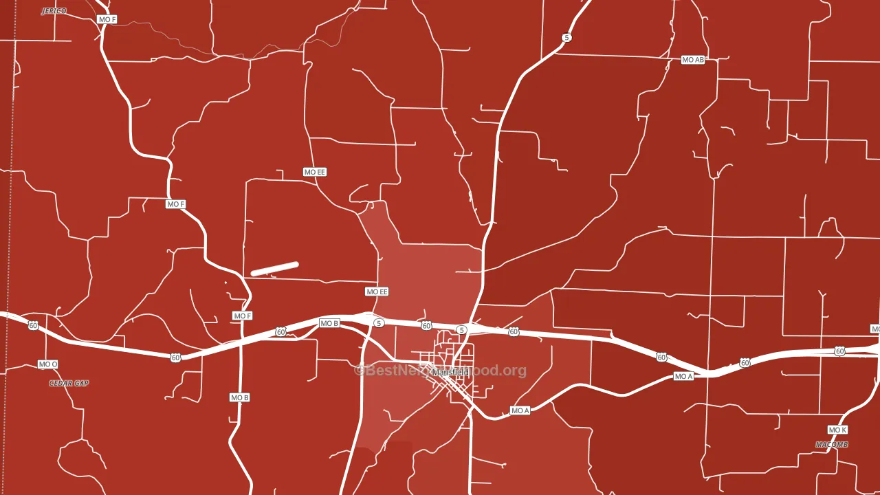 Mansfield, MO block-group political-lean map