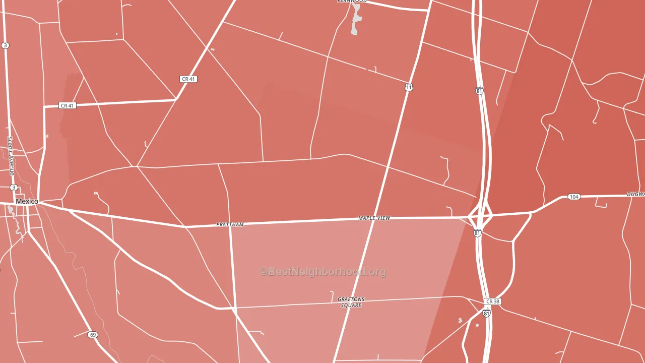 Maple View, NY block-group political-lean map