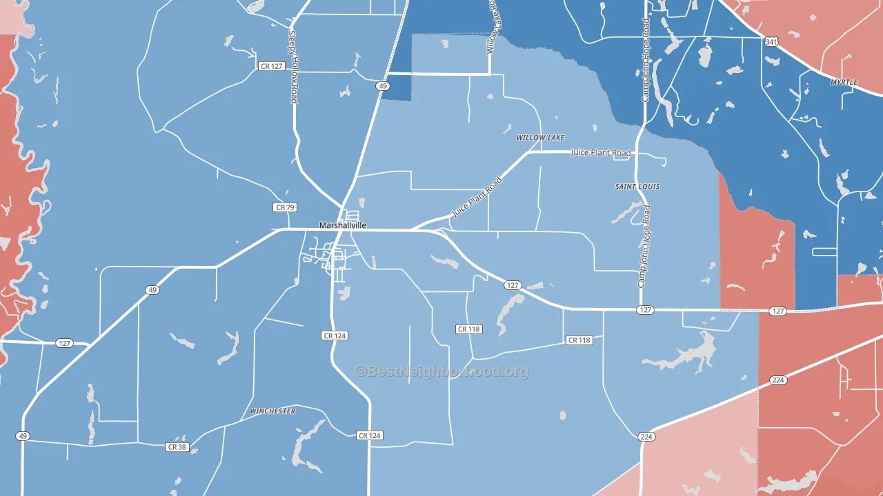 Marshallville, GA block-group political-lean map