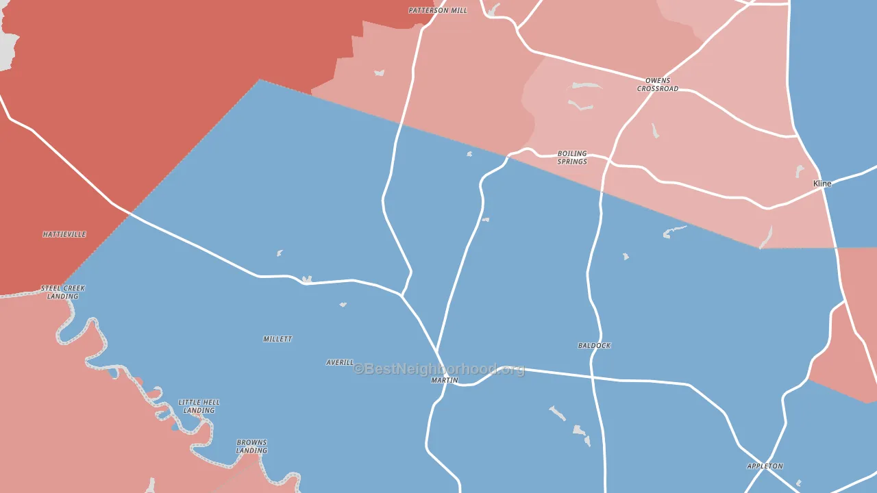 Martin, SC block-group political-lean map