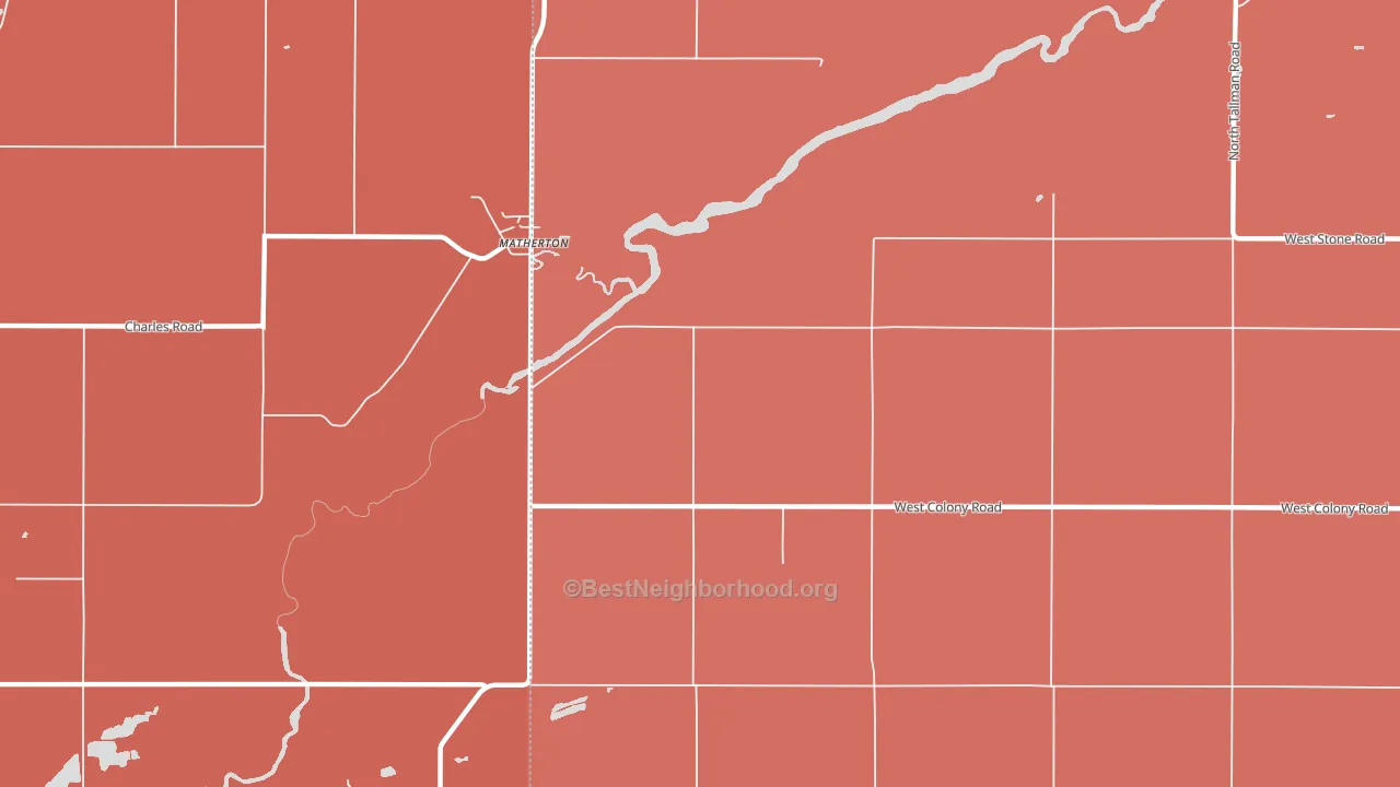 Matherton, MI block-group political-lean map