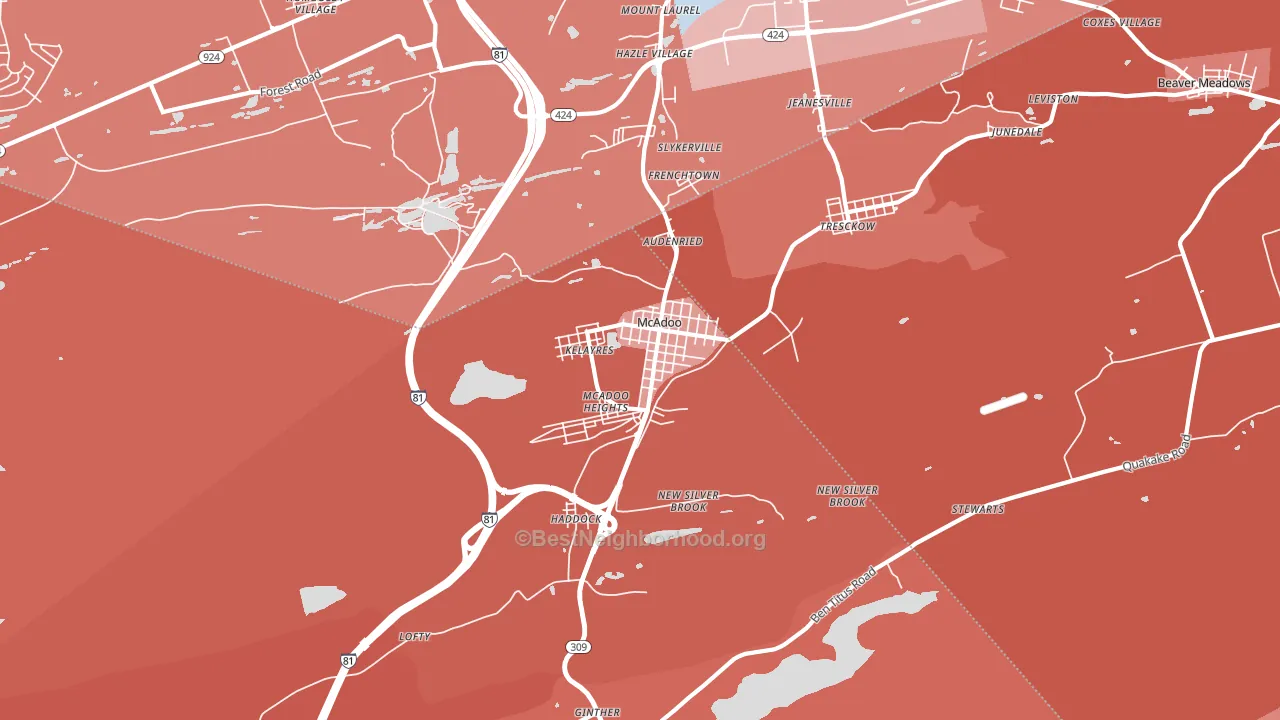 Mcadoo, PA block-group political-lean map