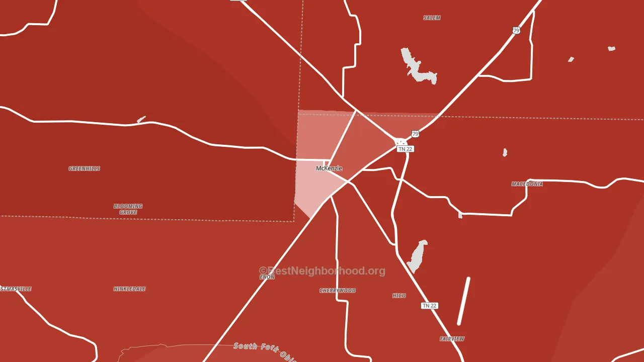 McKenzie, TN block-group political-lean map