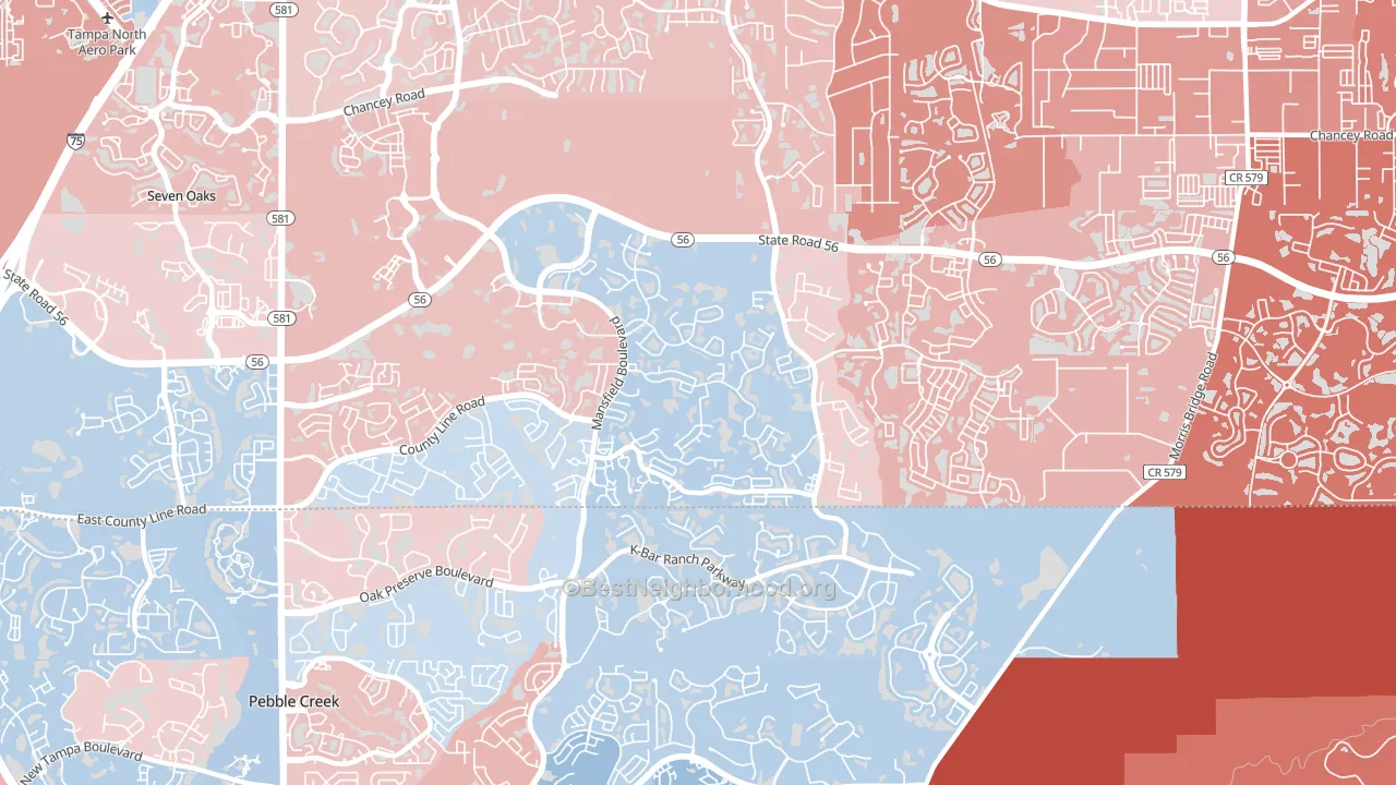 Meadow Point, Wesley Chapel, FL block-group political-lean map
