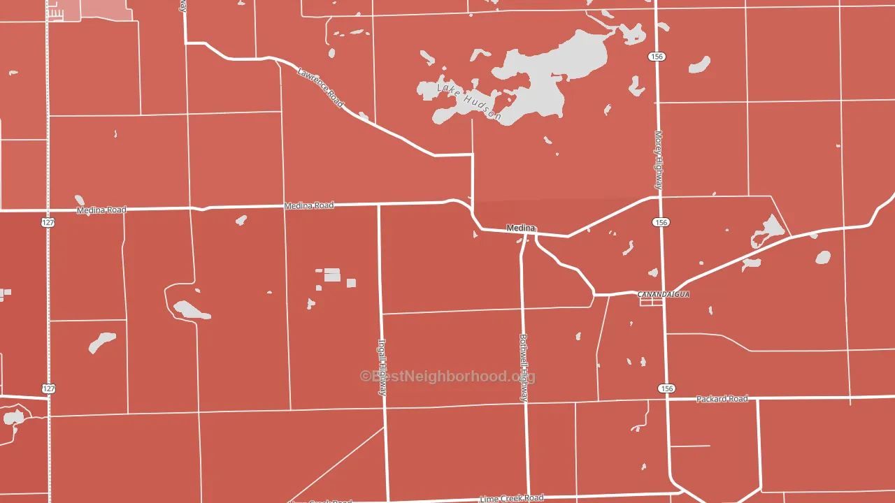 Medina, MI block-group political-lean map