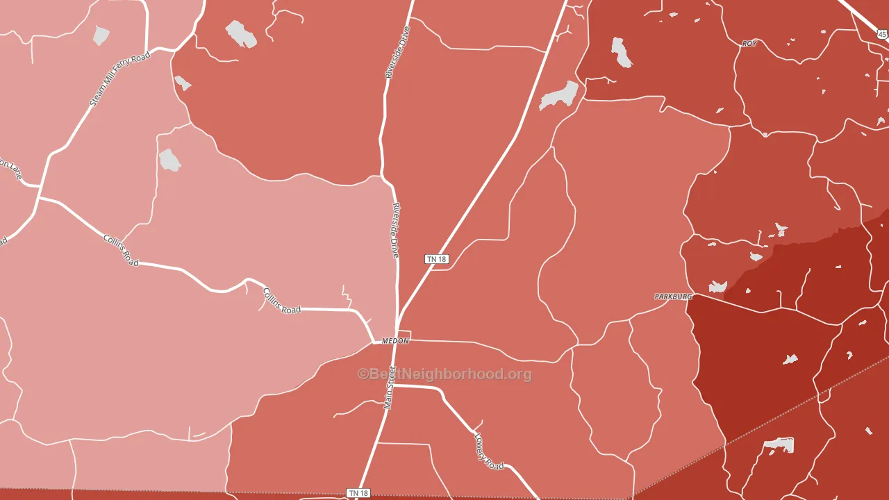 Medon, TN block-group political-lean map