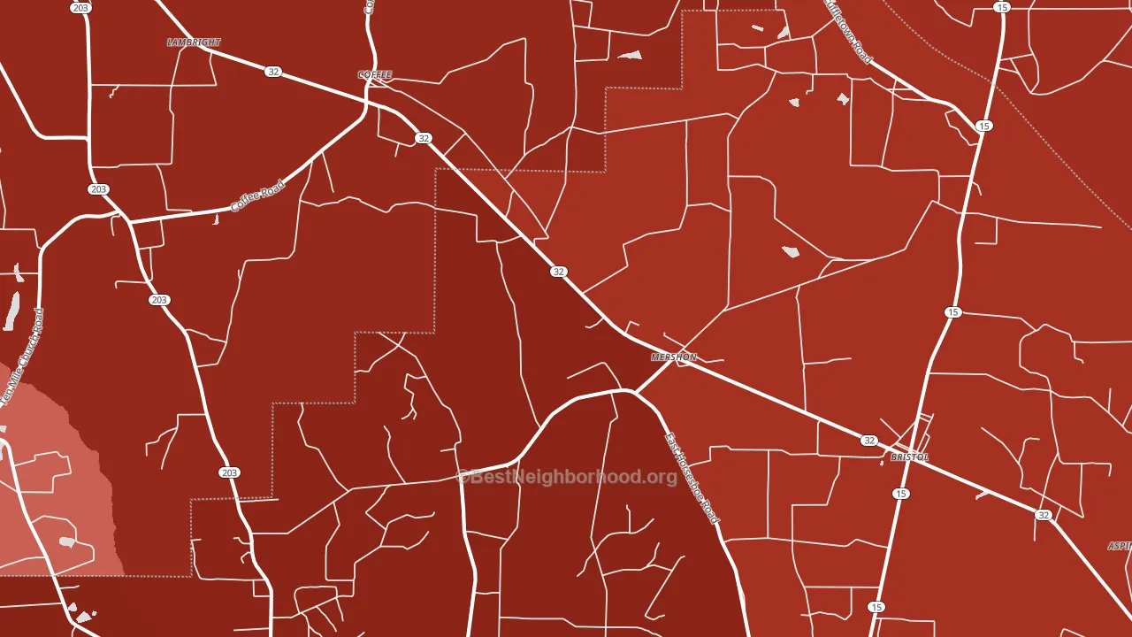 Mershon, GA block-group political-lean map