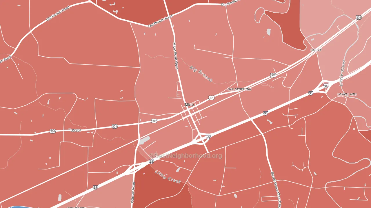 Micro, NC block-group political-lean map