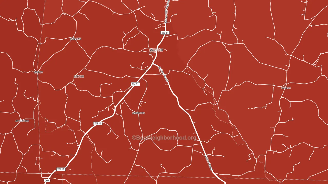 Minor Hill, TN block-group political-lean map