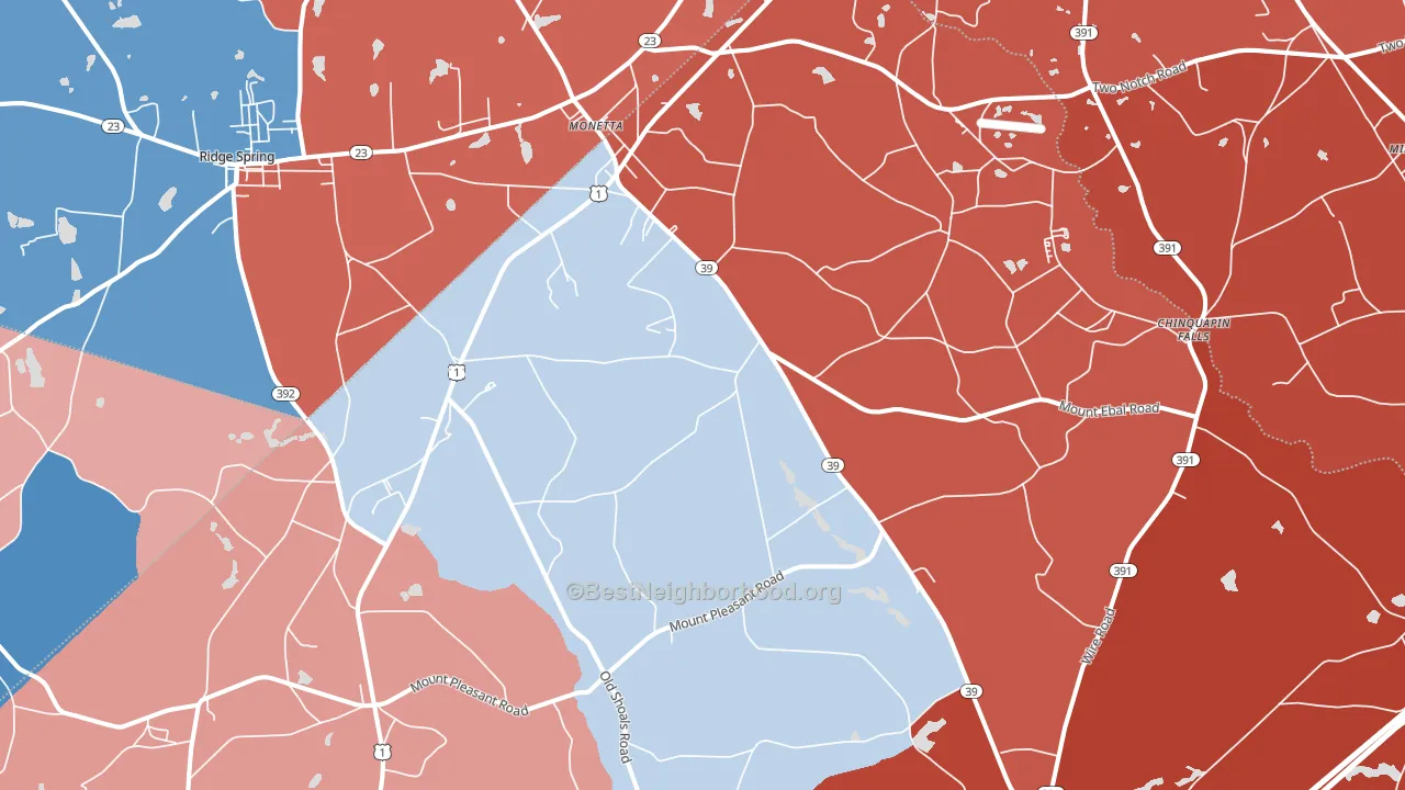 Monetta, SC block-group political-lean map