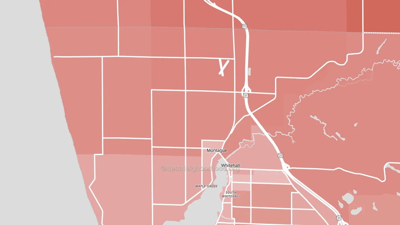 Montague, MI block-group political-lean map
