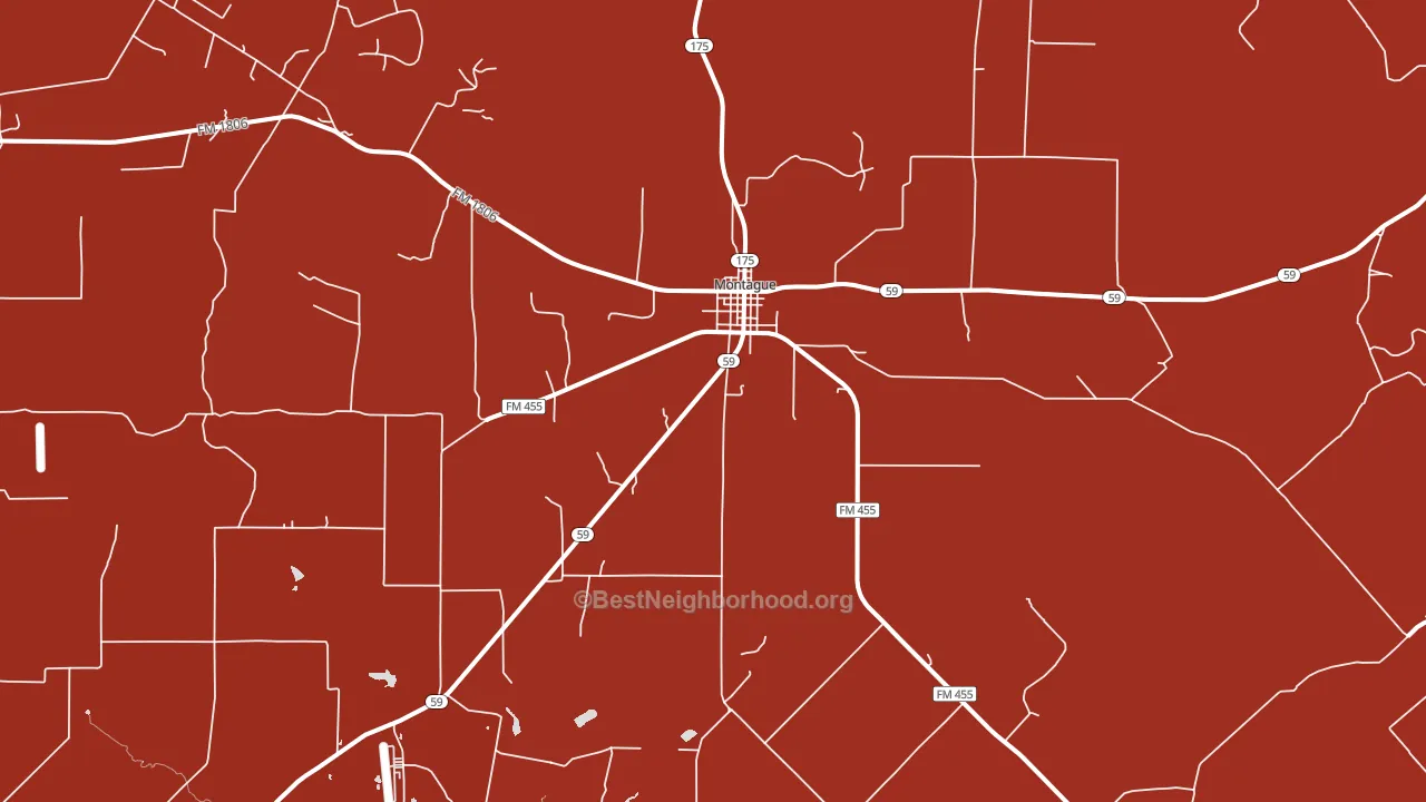 Montague, TX block-group political-lean map