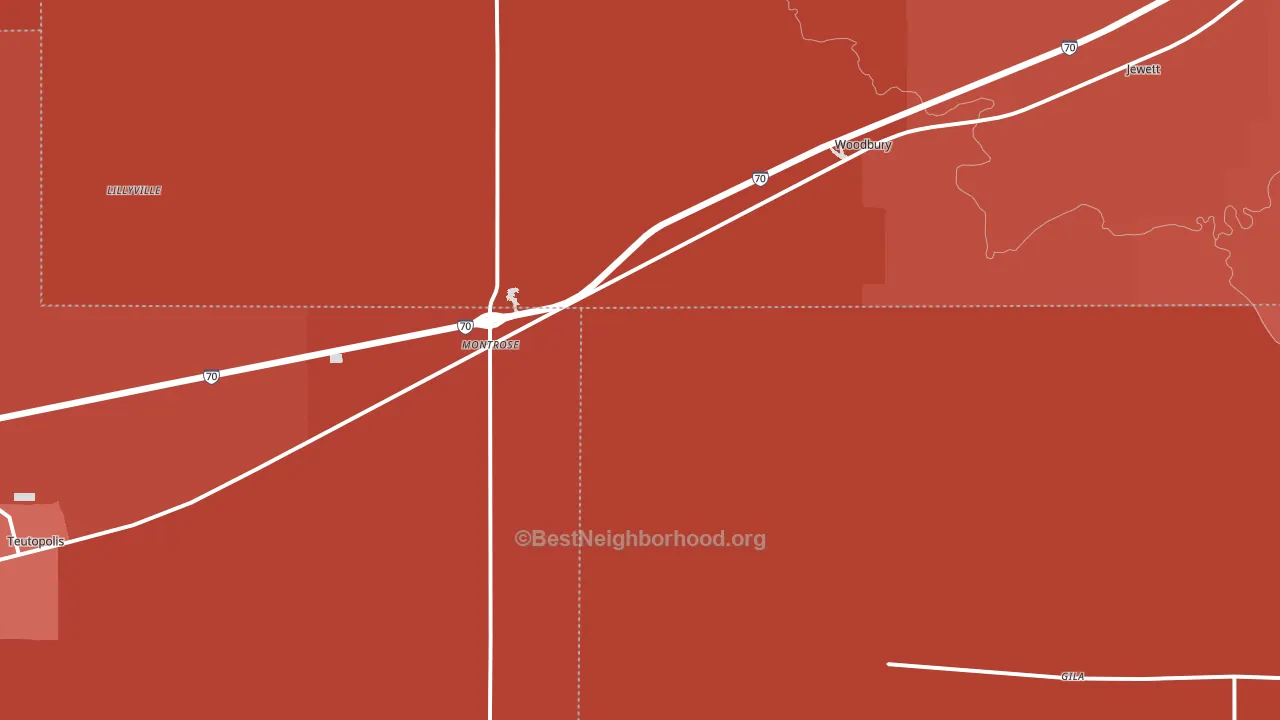 Montrose, IL block-group political-lean map