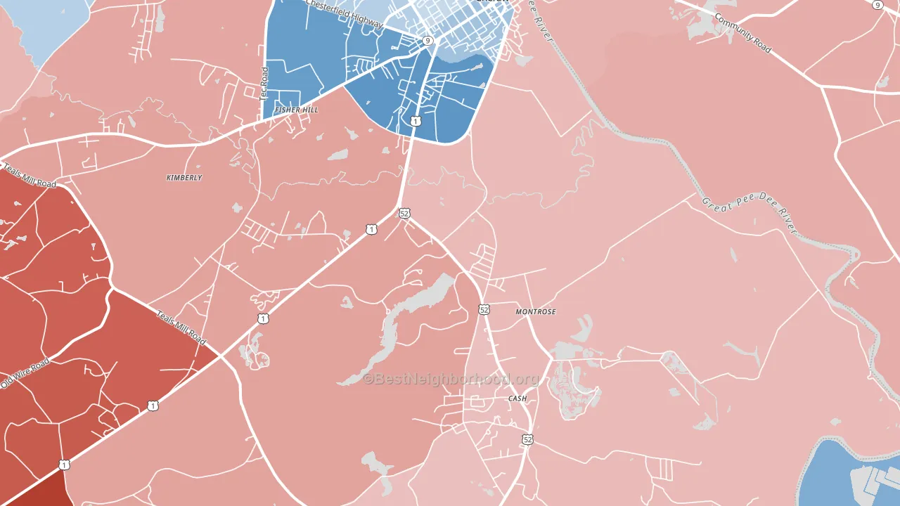 Montrose, SC block-group political-lean map