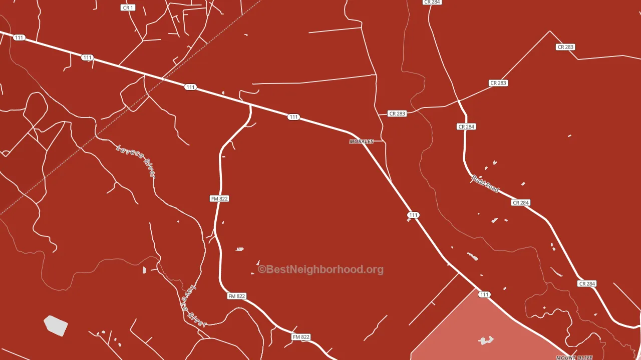 Morales, TX block-group political-lean map