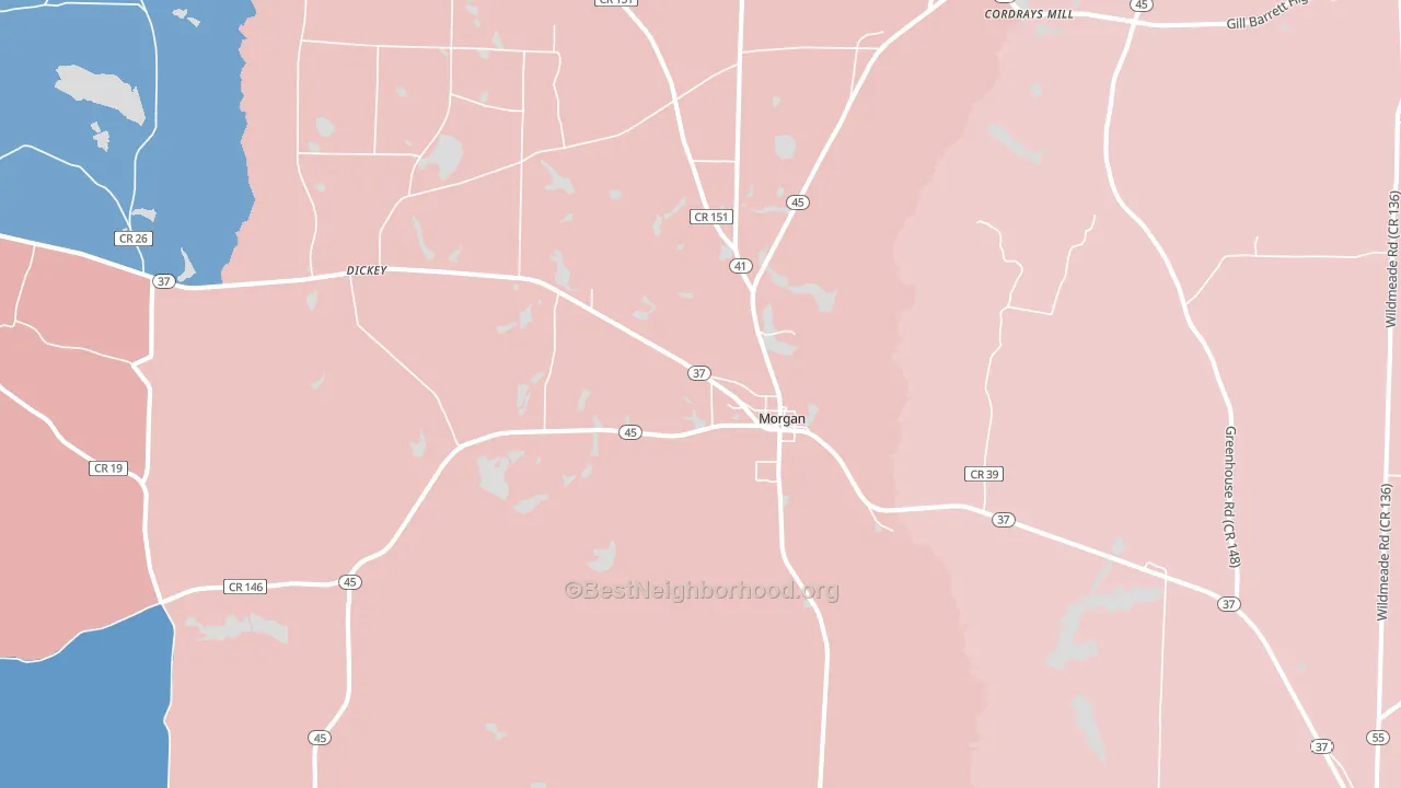 Morgan, GA block-group political-lean map