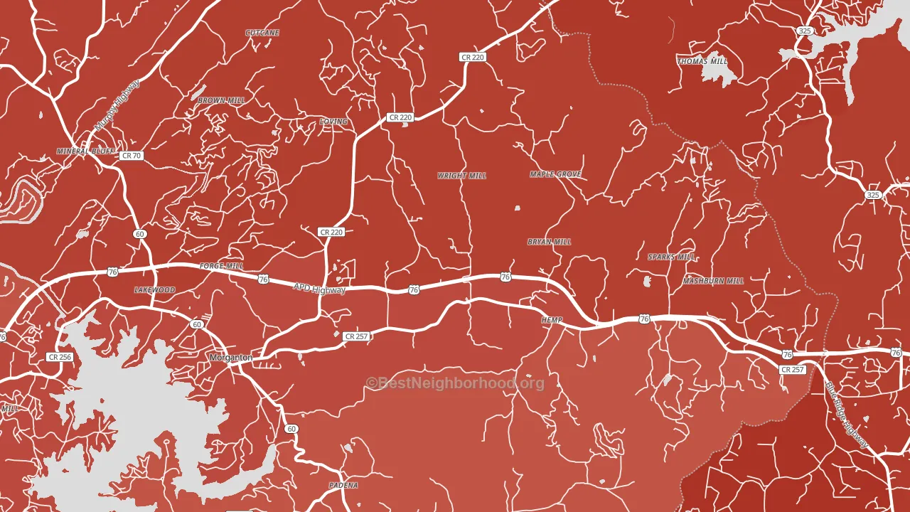 Morganton, GA block-group political-lean map