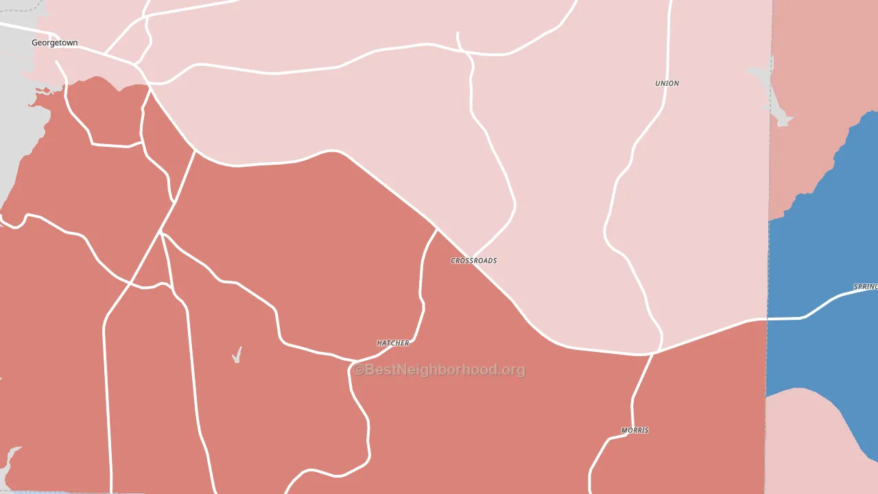 Morris, GA block-group political-lean map