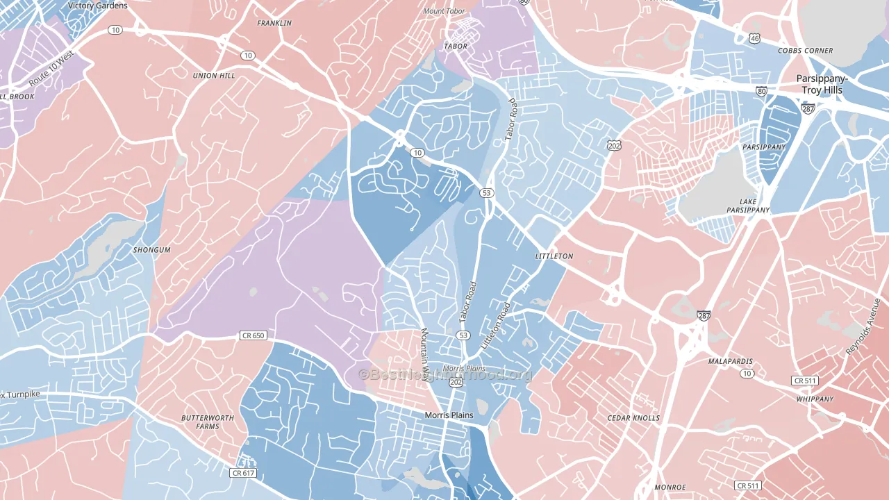 Morris Plains, NJ block-group political-lean map
