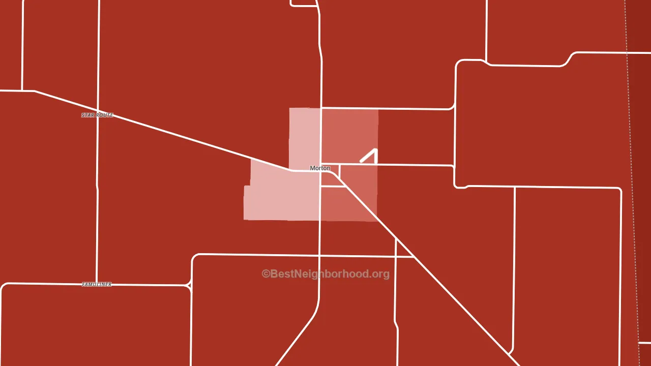 Morton, TX block-group political-lean map