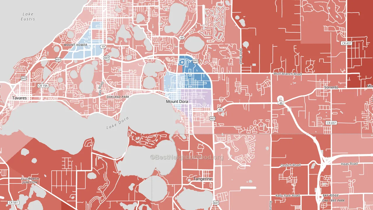 Mount Dora, FL block-group political-lean map