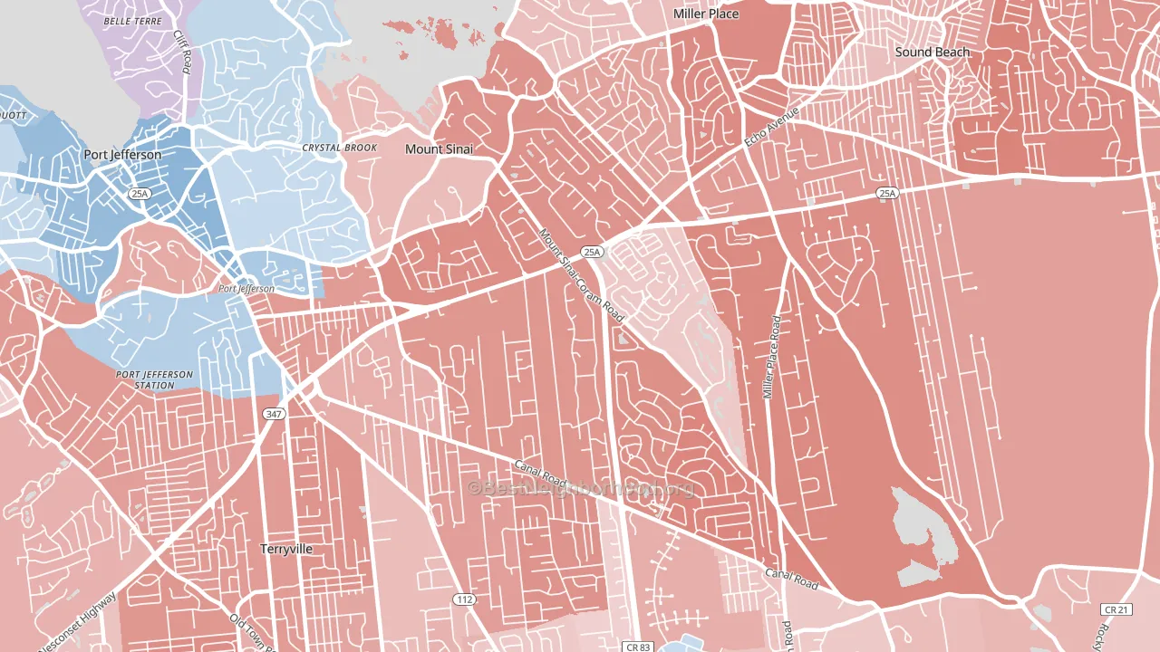 Mount Sinai, NY block-group political-lean map