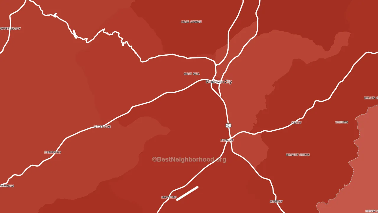 Mountain City, TN block-group political-lean map