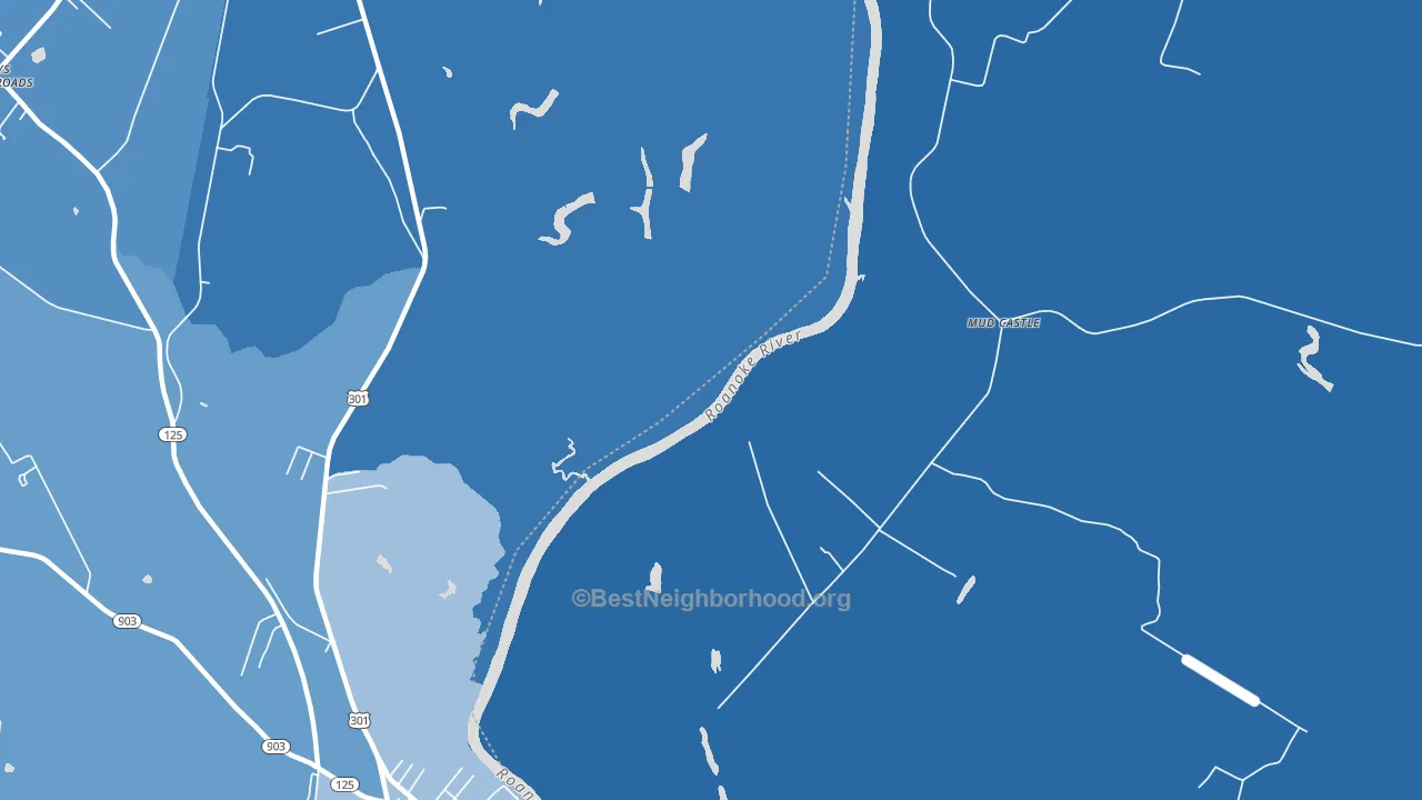 Mud Castle, NC block-group political-lean map