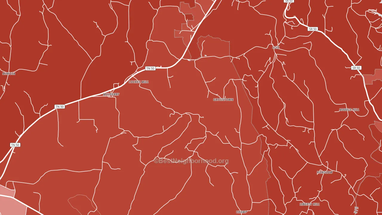 Mulberry, TN block-group political-lean map