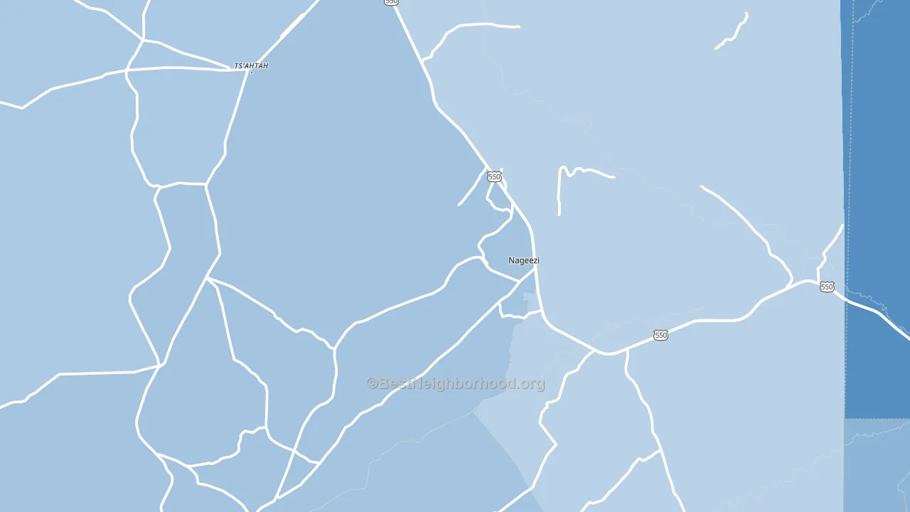 Nageezi, NM block-group political-lean map