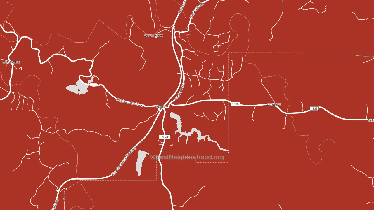 Napier, TN block-group political-lean map