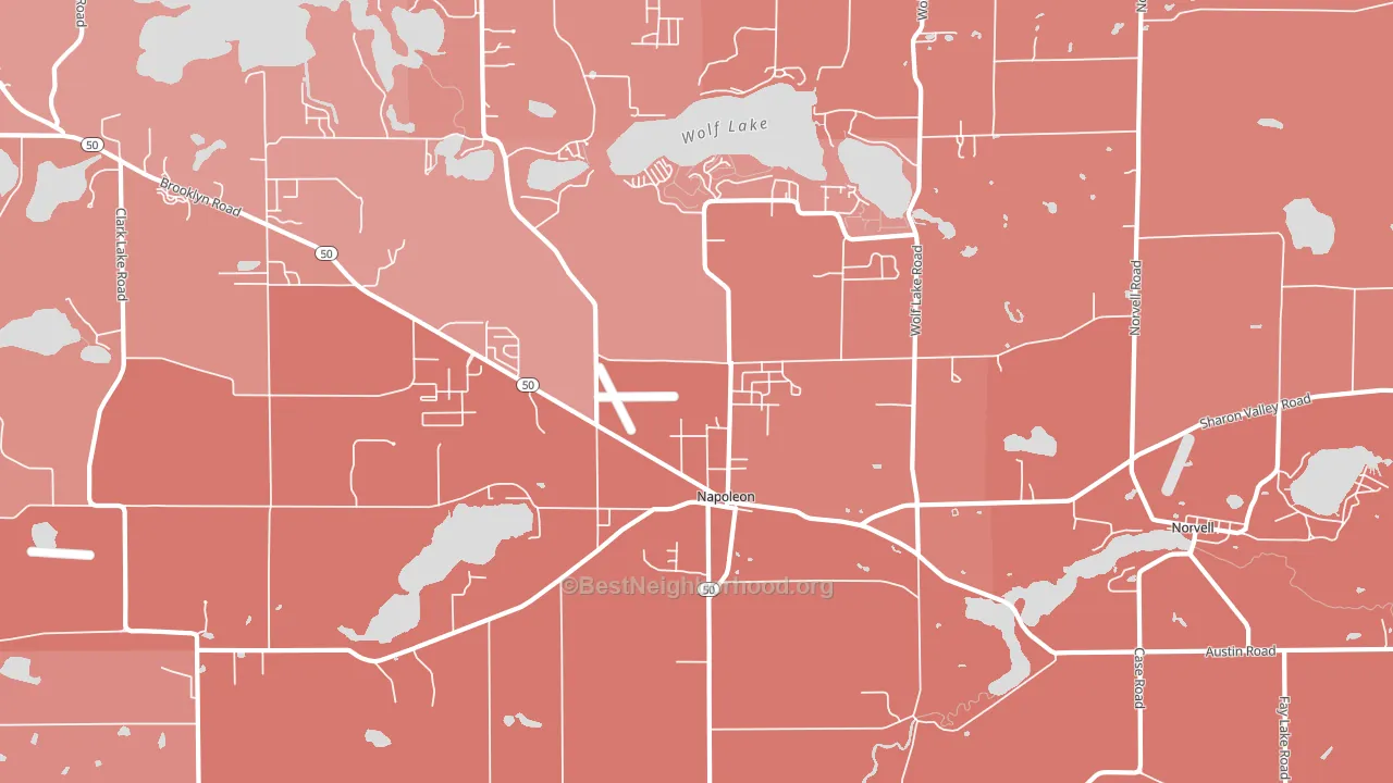Napoleon, MI block-group political-lean map