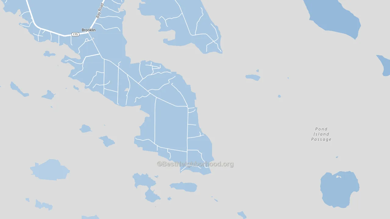 Naskeag, ME block-group political-lean map
