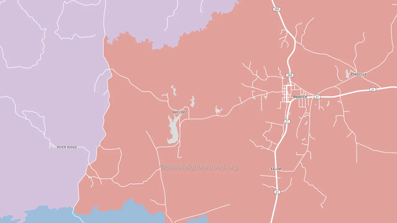 Natchez, AL block-group political-lean map