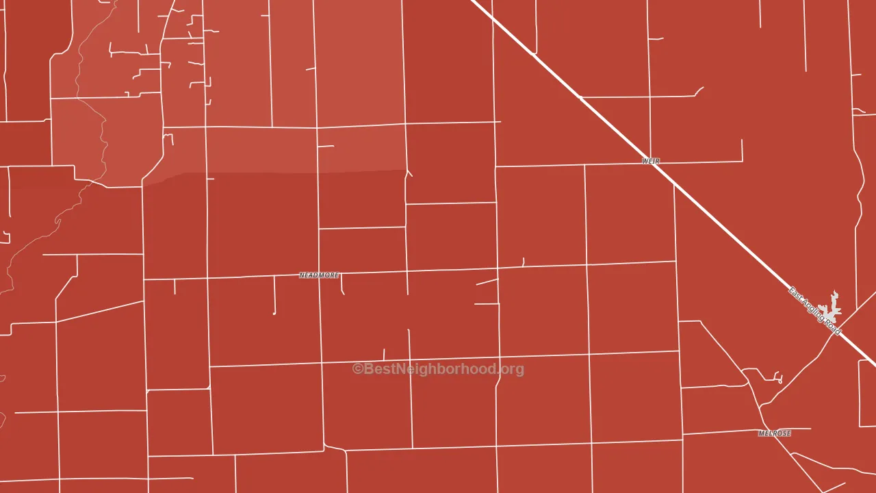 Neadmore, IL block-group political-lean map