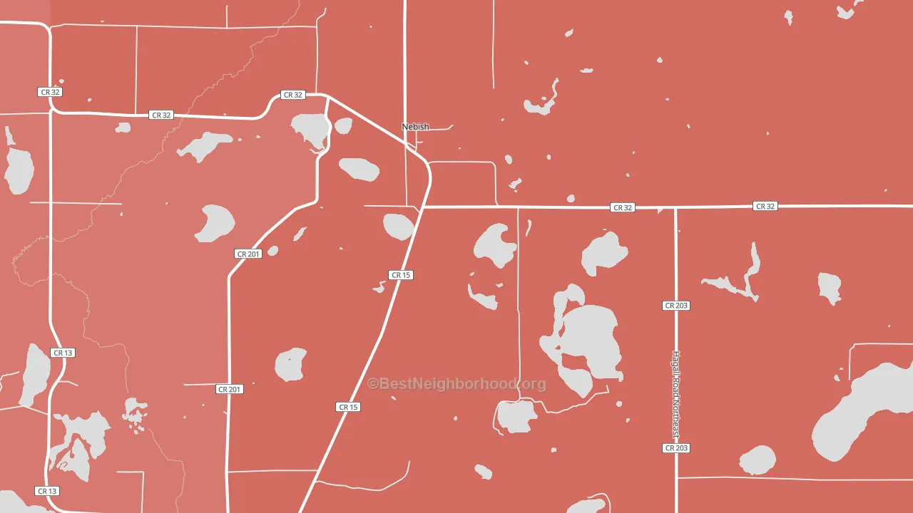 Nebish, MN block-group political-lean map