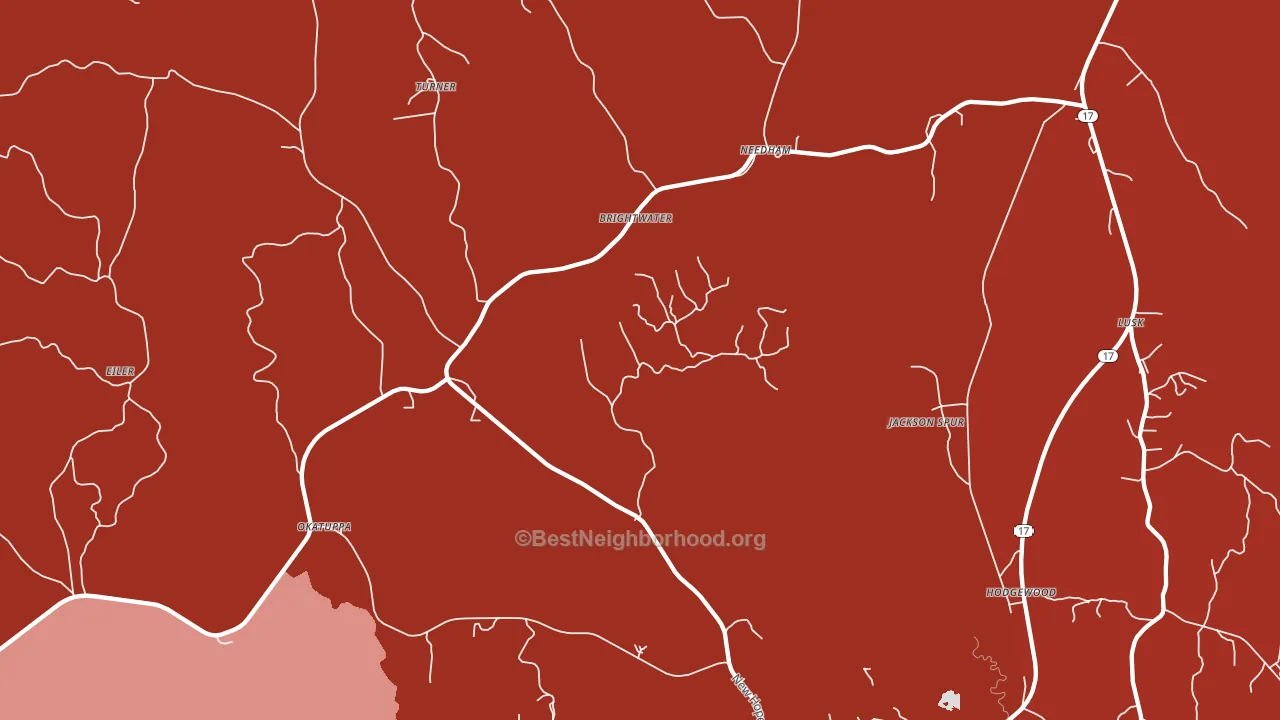 Needham, AL block-group political-lean map