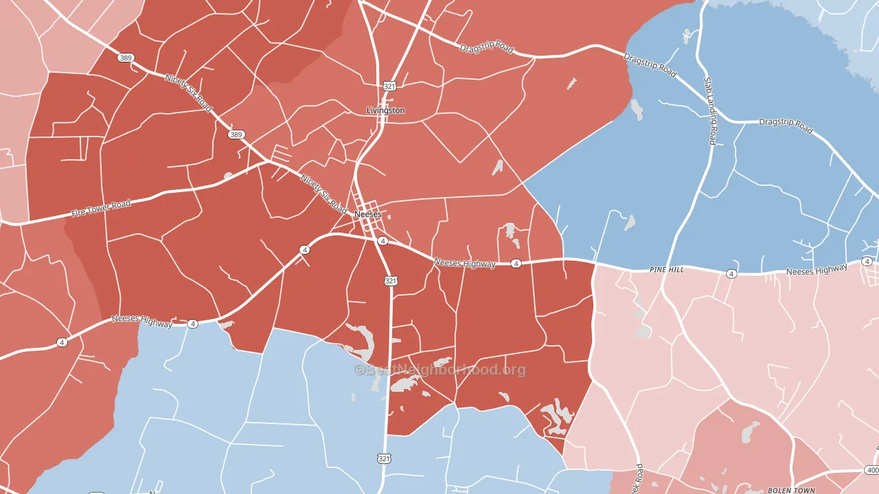 Neeses, SC block-group political-lean map