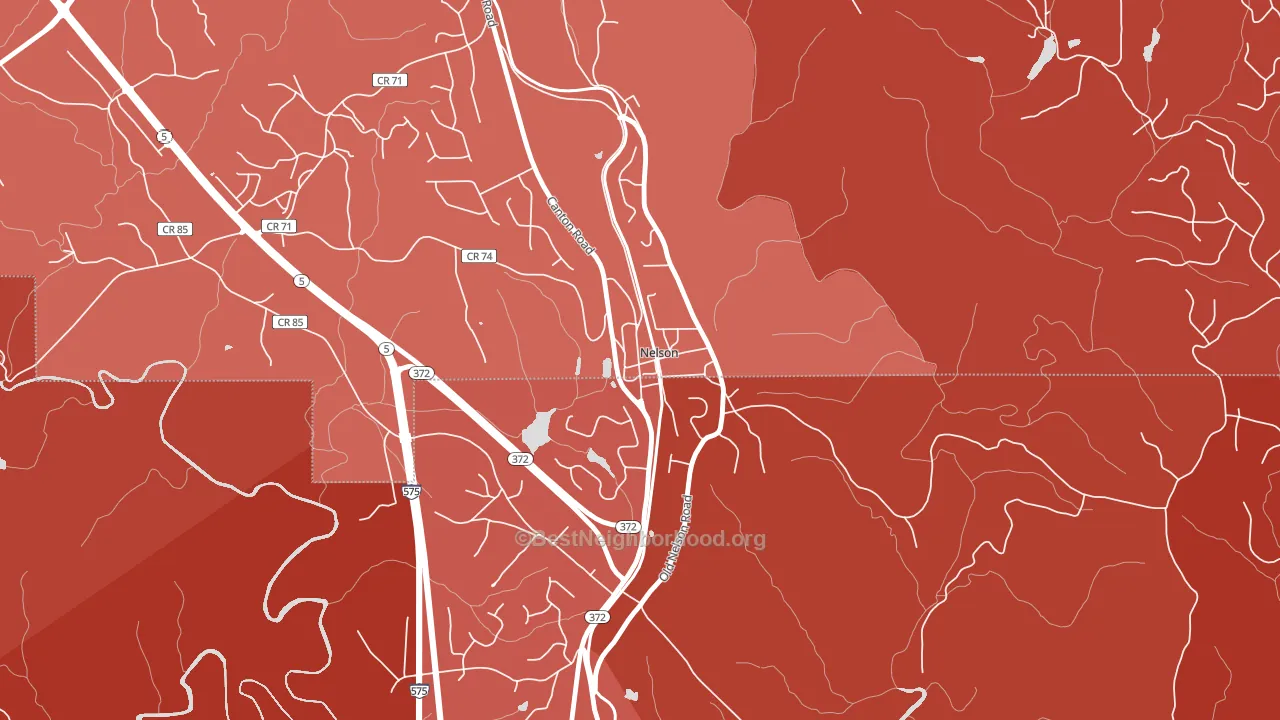 Nelson, GA block-group political-lean map
