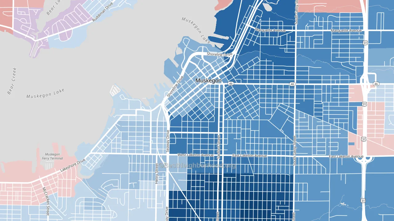 Nelson, Muskegon, MI block-group political-lean map