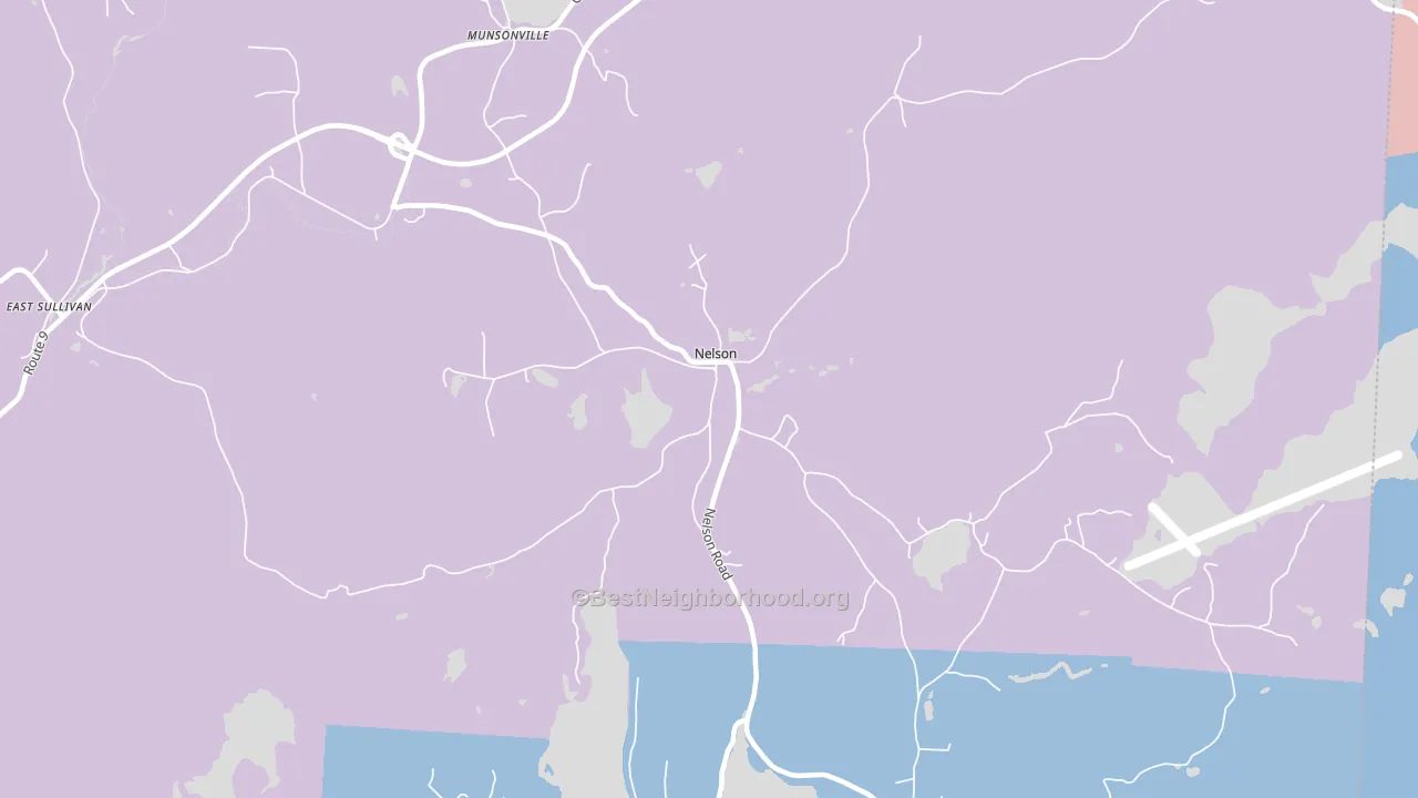 Nelson, NH block-group political-lean map