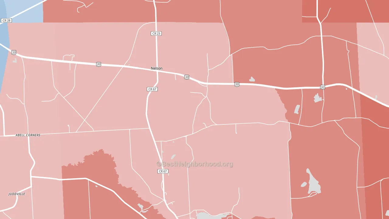Nelson, NY block-group political-lean map