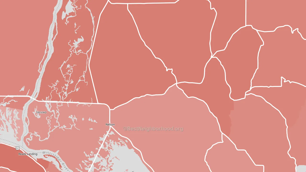 Nelson, WI block-group political-lean map