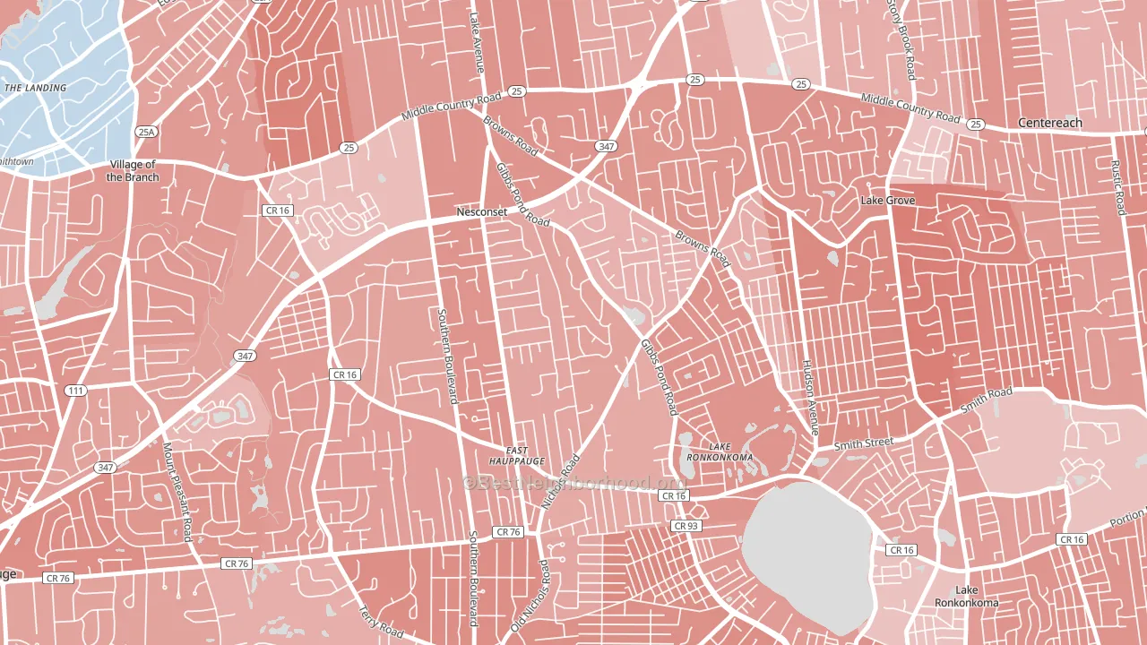 Nesconset, NY block-group political-lean map