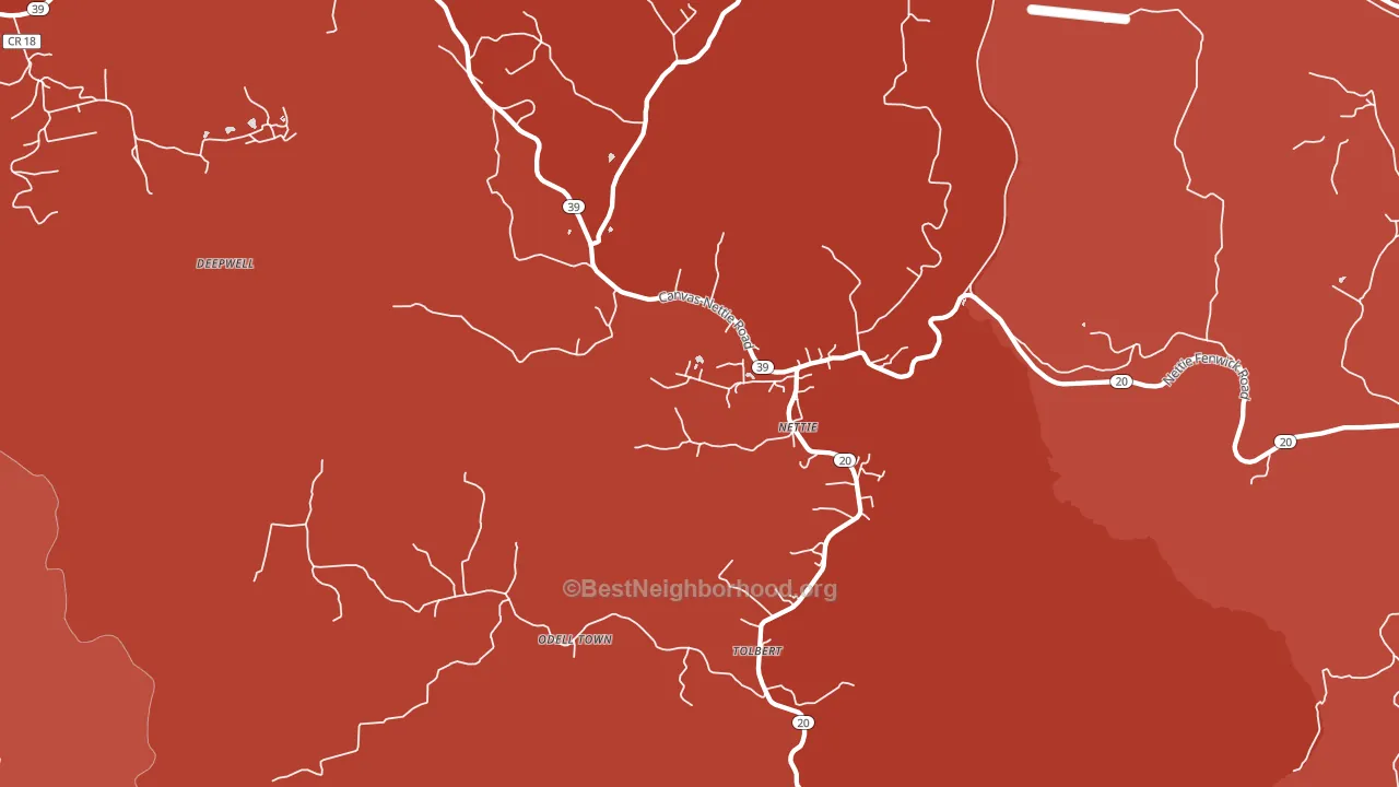 Nettie, WV block-group political-lean map