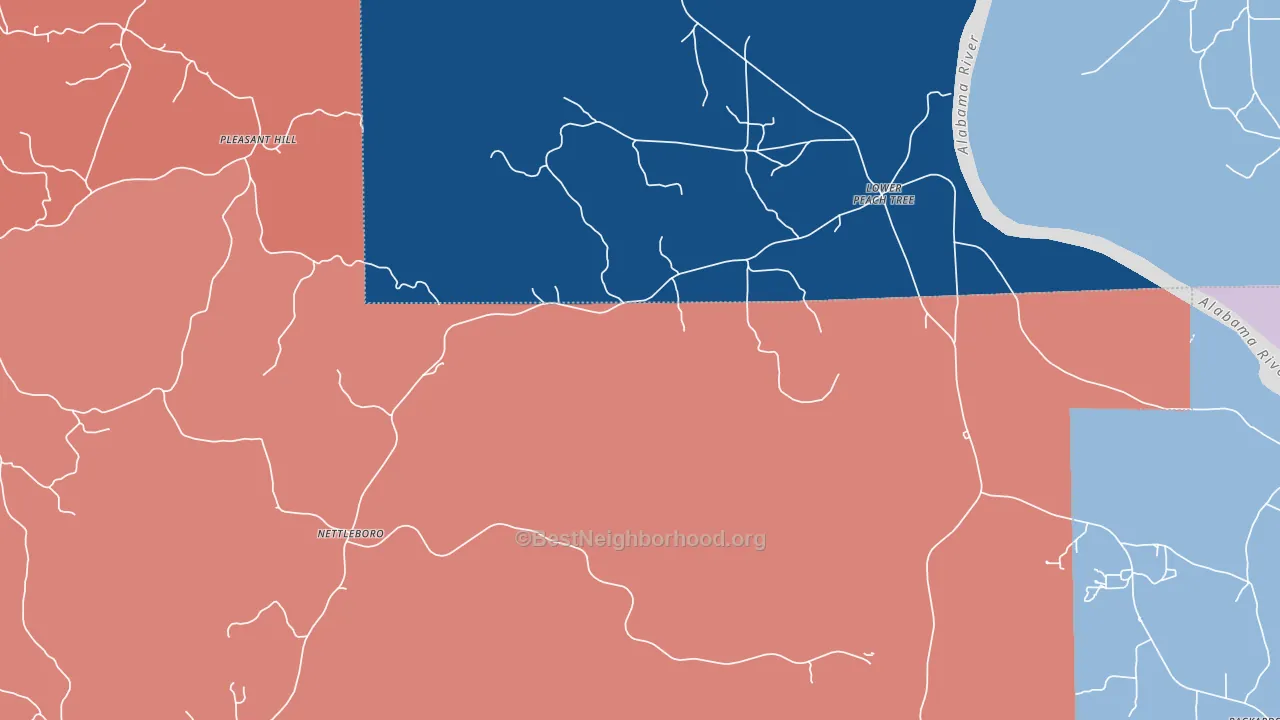 Nettleboro, AL block-group political-lean map