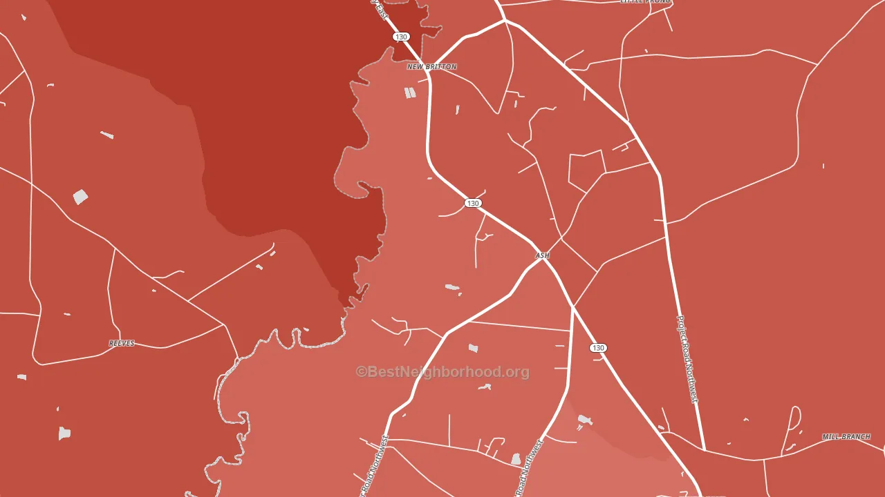 New Britton, NC block-group political-lean map