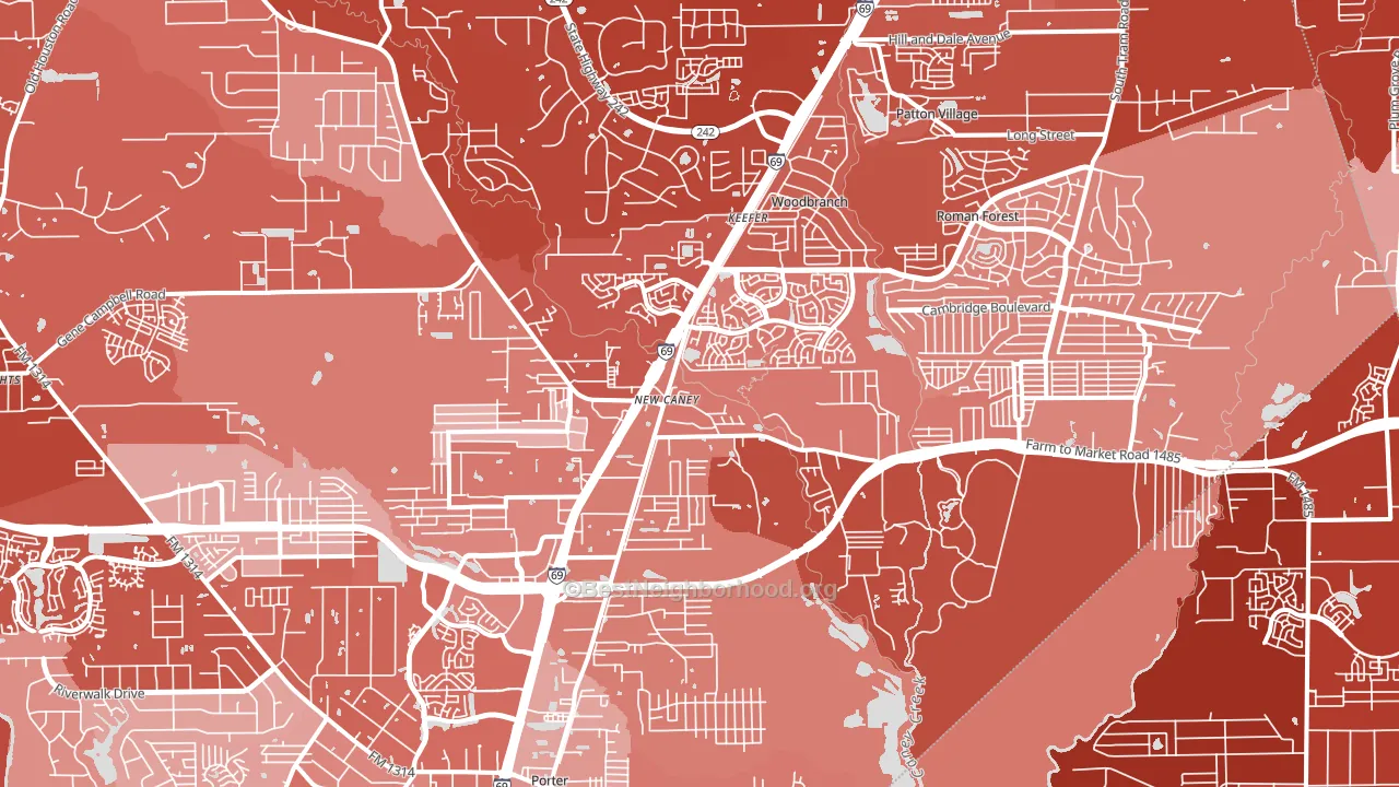 New Caney, TX block-group political-lean map