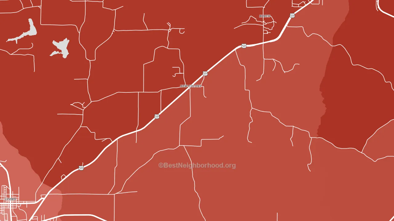 New Colony, TX block-group political-lean map